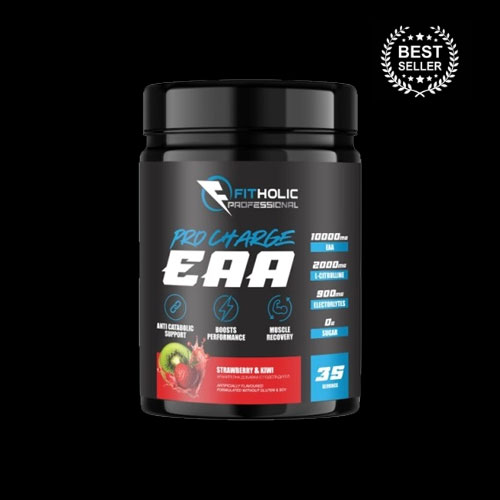 Fitholic Professional Pro Charge EAA Essential Amino Acids