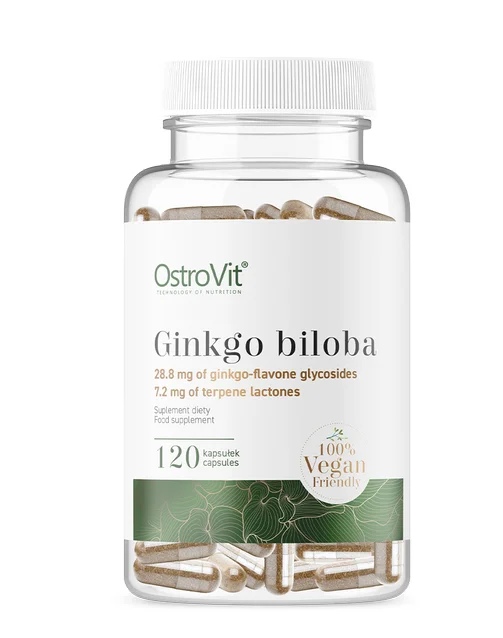 OstroVit Ginkgo Biloba 120 mg