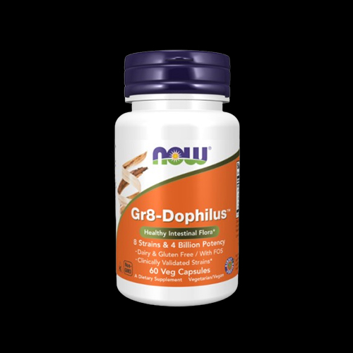 NOW GR 8 DOPHILUS