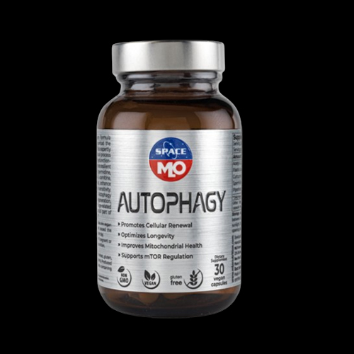 MLO Space Autophagy