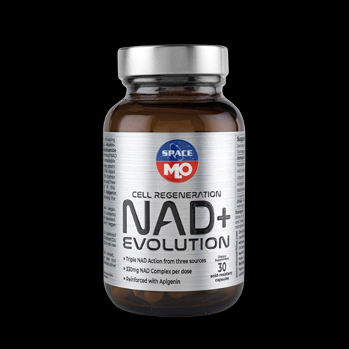 MLO SPACE NAD+ Evolution