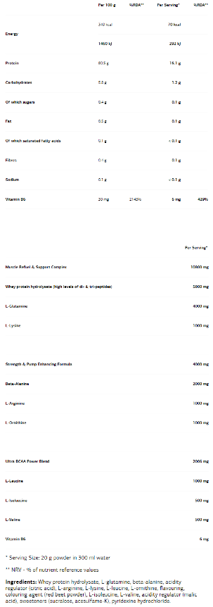 VPLaB Aminoplasma 500 g-factsheets