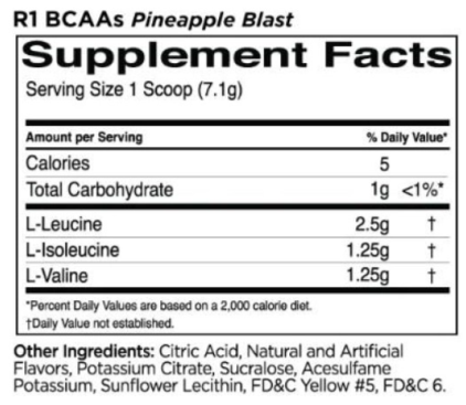 Rule One BCAAs | 100% Micronized 2:1:1 BCAA Formula-factsheets