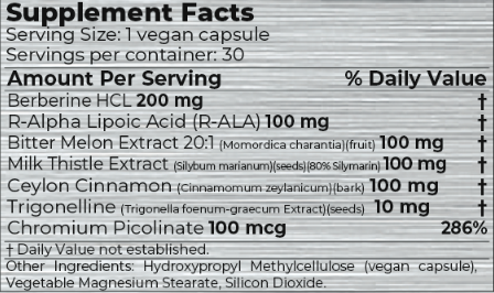 MLO SPACE Glucose Support-factsheets